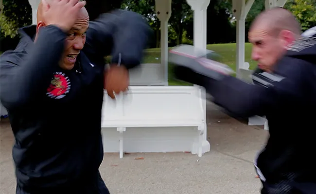 Master Wong gebruikt Wing Chun om een bokser te vernietigen