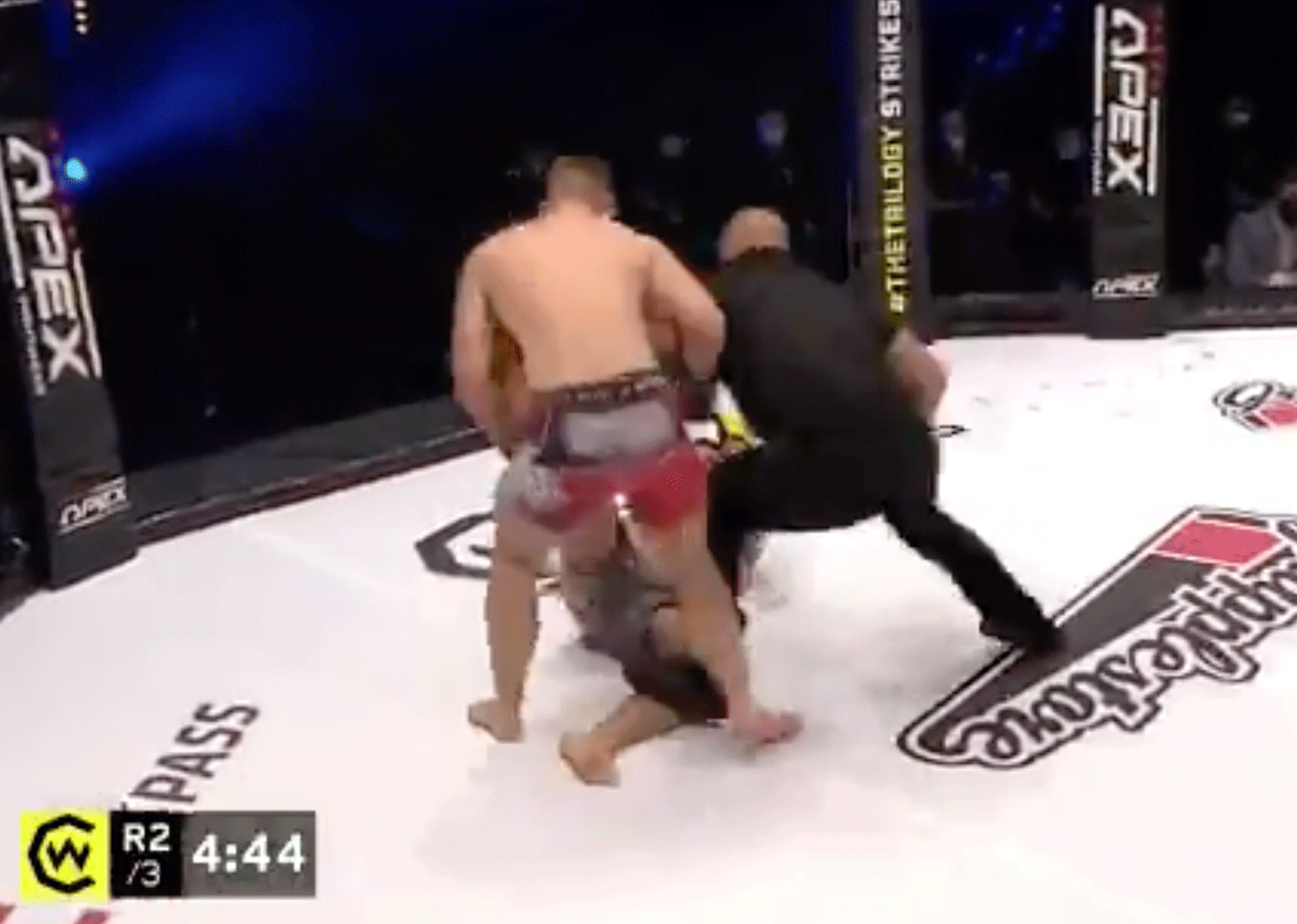 MMA-vechter stuitert op het canvas door bloedstollende knock-out (video)