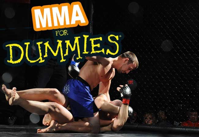 MMA for Dummies, wat is Mixed Martial Arts nu eigenlijk?