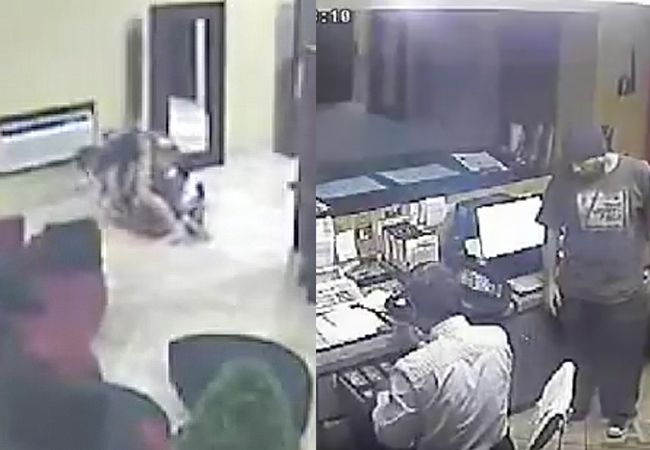 VIDEO: MMA-vechters stoppen gewapende overval op hotel