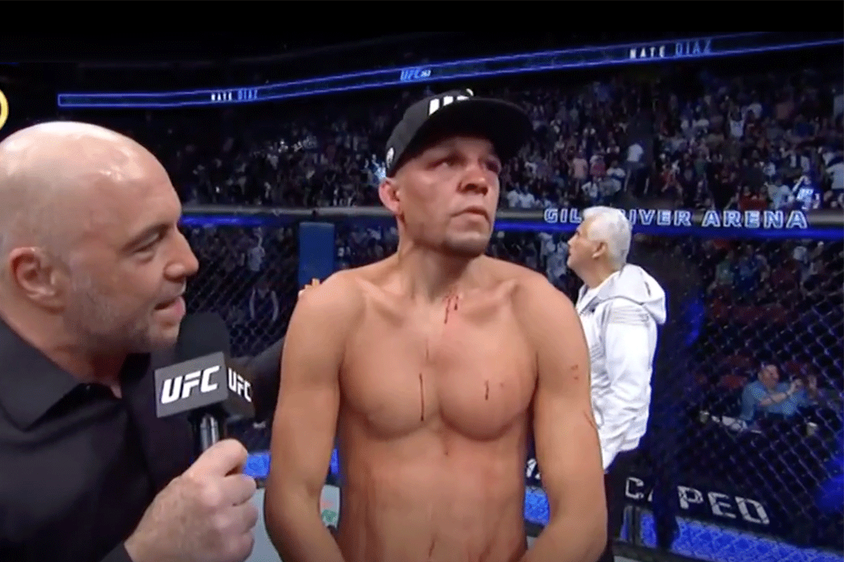 'Ik mep hem KO': Jake Paul beweert UFC'er Nate Diaz te gaan slopen