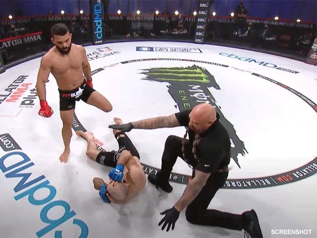 KNOCK-OUT: MMA-vechter knokt zich naar de 1 miljoen (video)