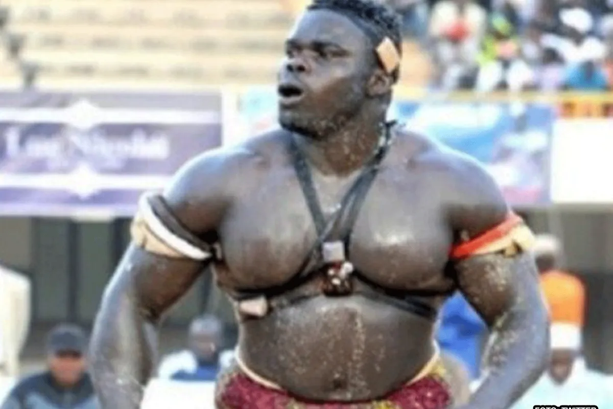 KNOCK-OUT VIDEO: Senegalees maakt beste MMA-debuut ooit