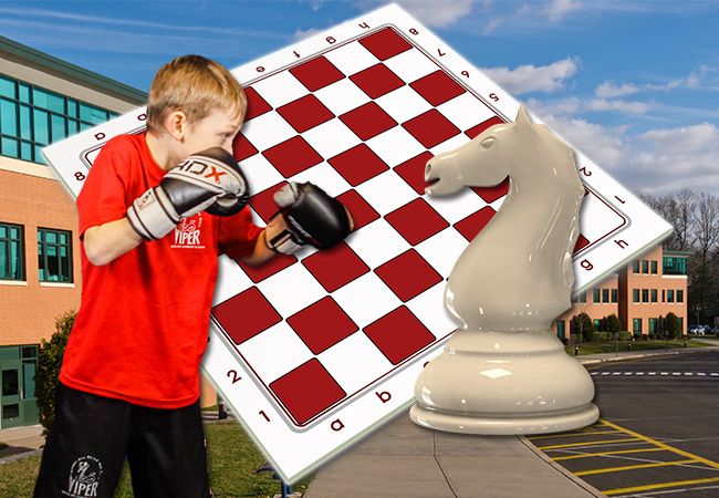 Make Your Move: 'schaken en vechtsport.