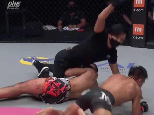 Scheidsrechter voorkomt doodsklap na heftige knock-out (video)