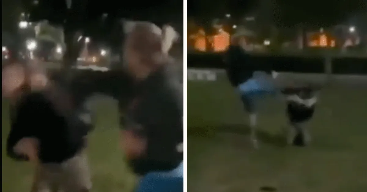 Broer 14-jarig meisje straft sex stalker af! 'Flik het nog eens' (video)