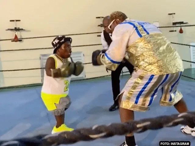 Ghanese boksdwerg sloopt boomlange tegenstander in de ring