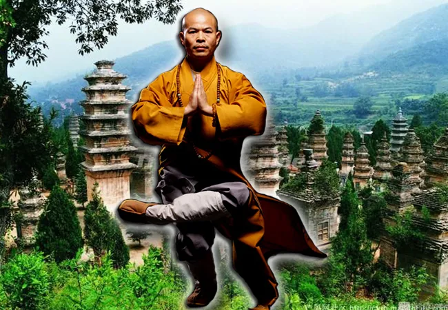 Het Magische Shaolin Pagode Bos