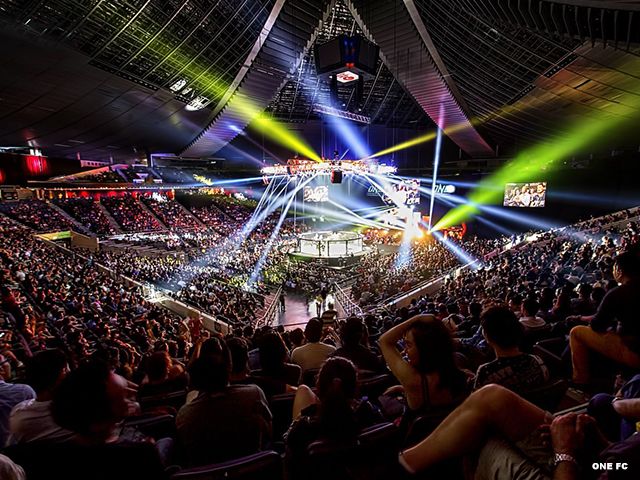 RINGARTSEN: 'Stop vechtsport events tijdens corona crisis'