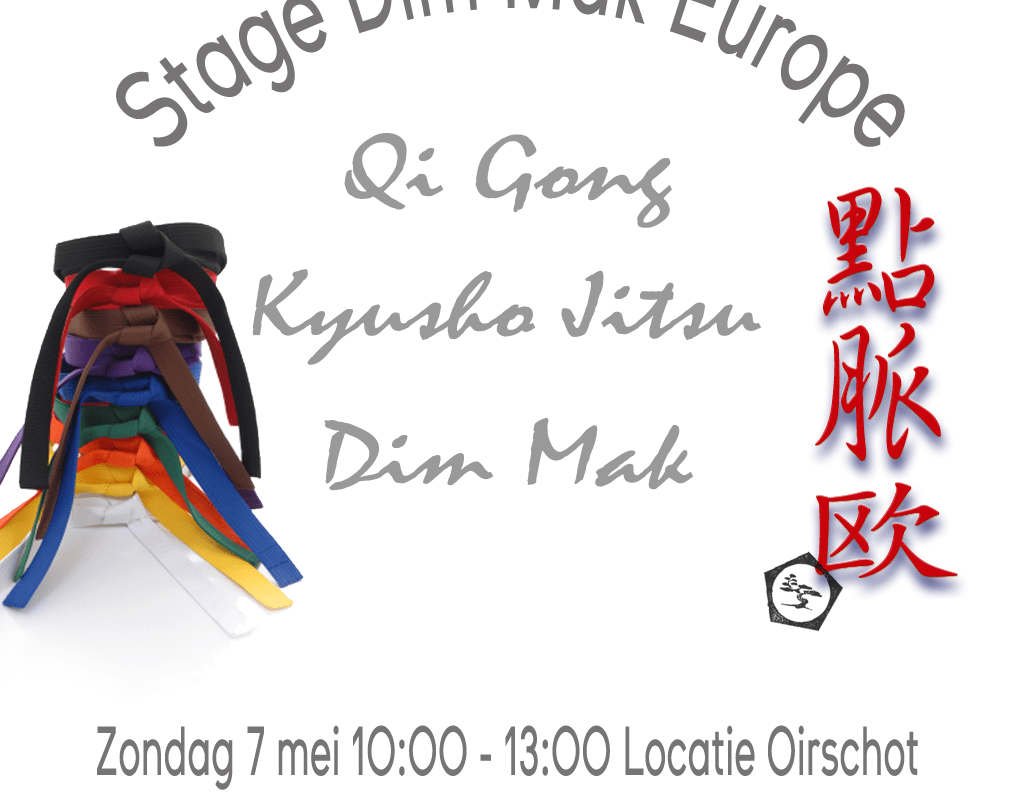 Stage Dim Mak Europe 7 Mei 2017