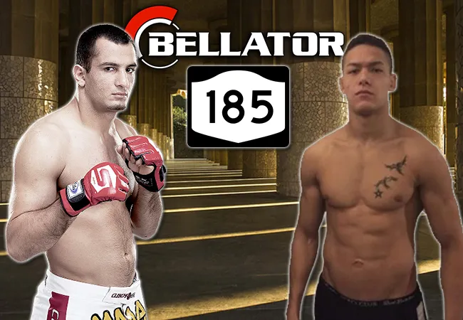 Mousasi en Van Steenis vertegenwoordigen Nederland op Bellator 185