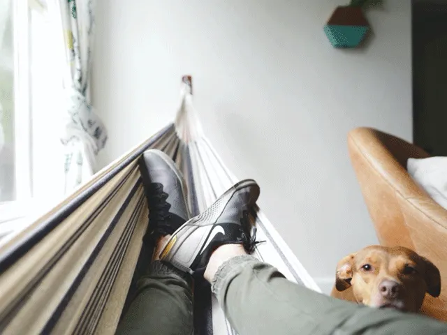 TRAINEN OP AFSPRAAK: 'Wie het eerst belt heeft geluk, de rest heeft pech'