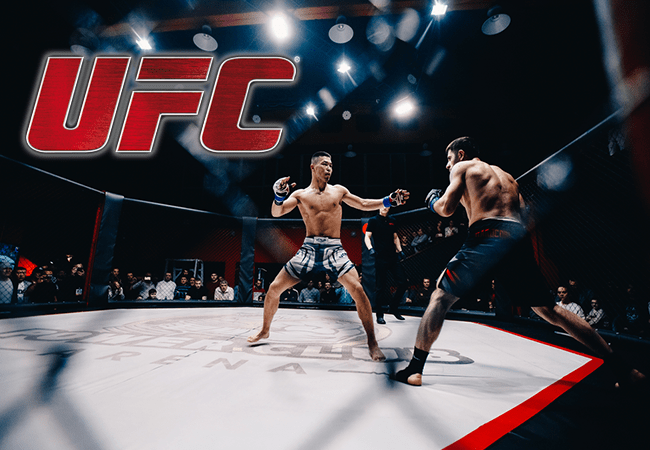 UFC maakt events voor tweede kwartaal 2019 bekend