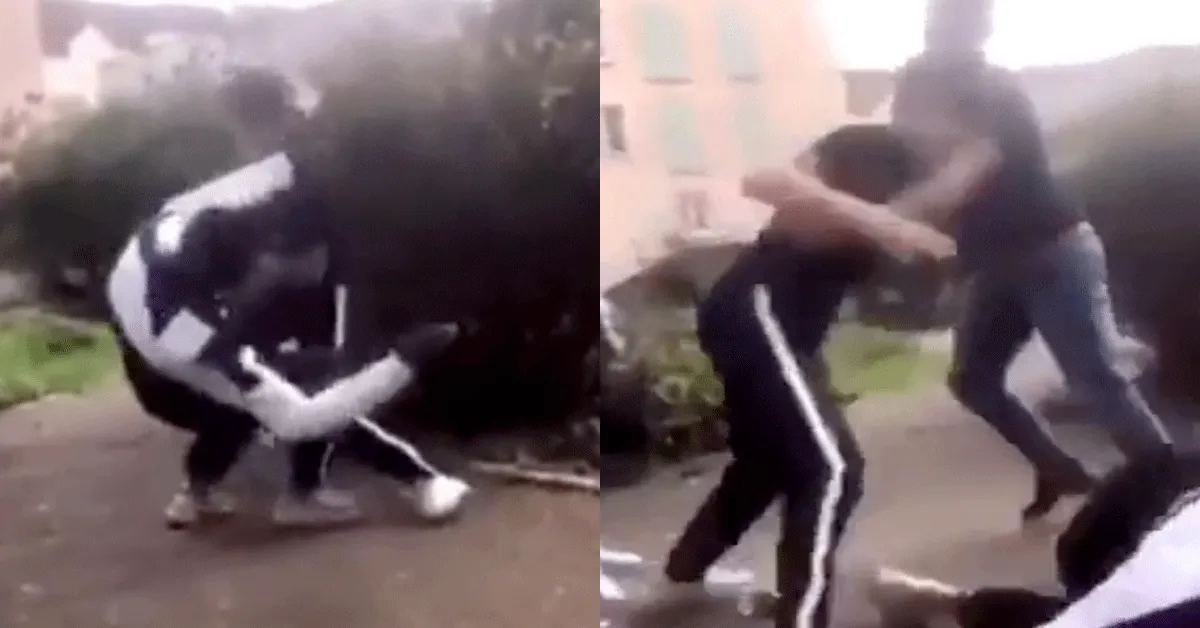 Pestkop krijgt slaag van echte vechter! 'Aanpakken die hap' (video)