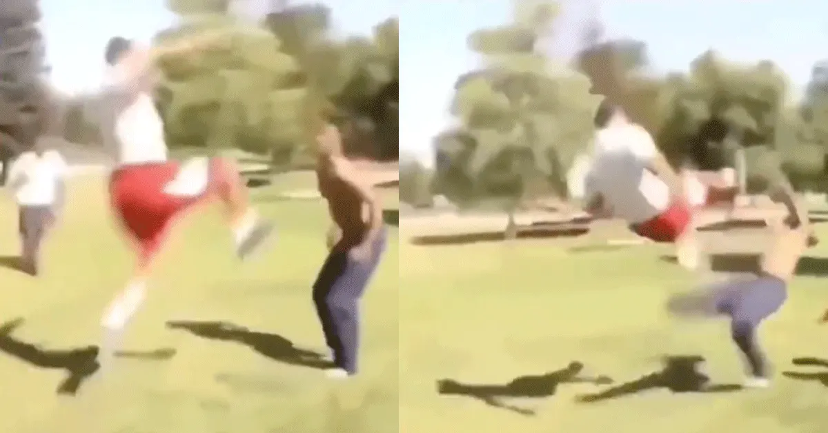 Damn! Wegwezen 'vliegkick' plet lefgozer | video