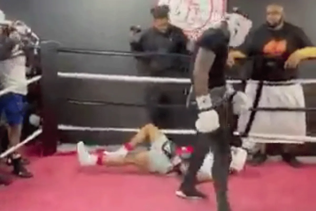 ? ? Doorgeslagen bokser slaat groentje ongenadig knock-out