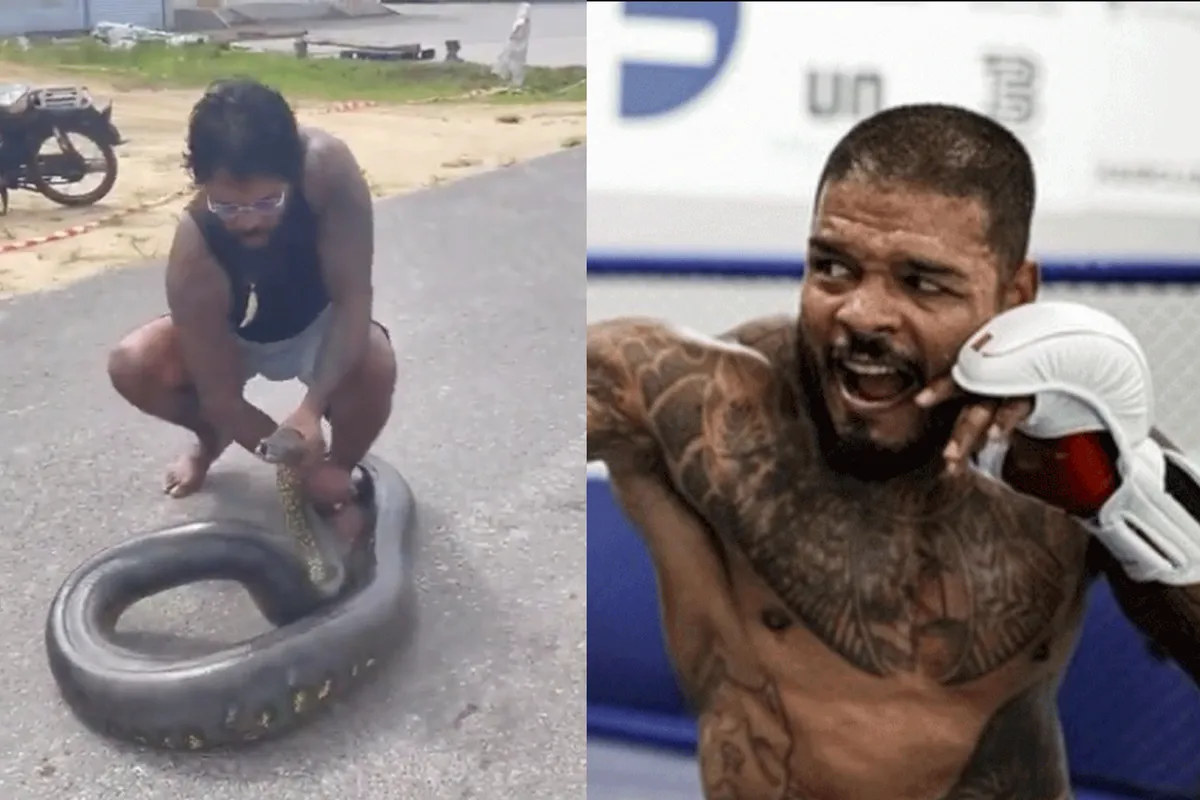 🎥 Kickbokslegende Tyrone Spong vangt reuze anaconda met zijn blote handen
