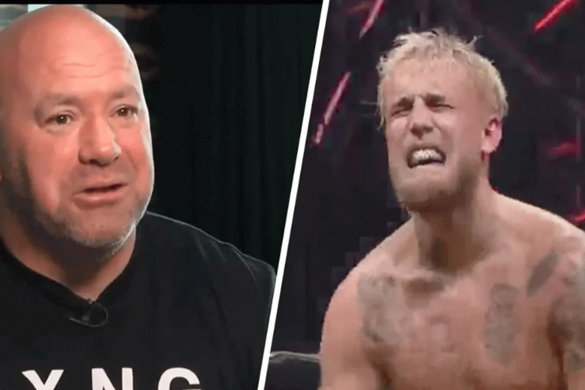 UFC vechtbaas vermoedt opgezet spel bij ruzie tussen Jake Paul en Floyd Mayweather