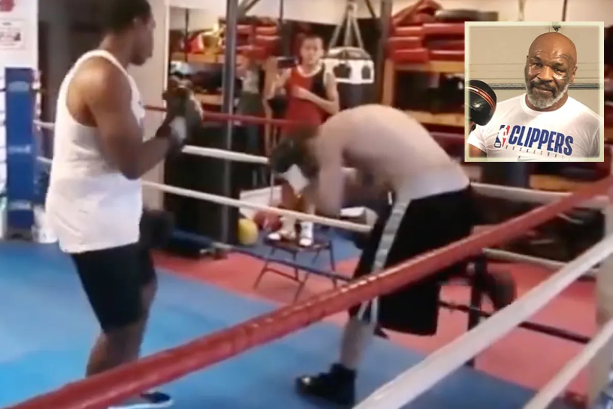 Zoon Mike Tyson (16) slaat pestkop helemaal lens | video
