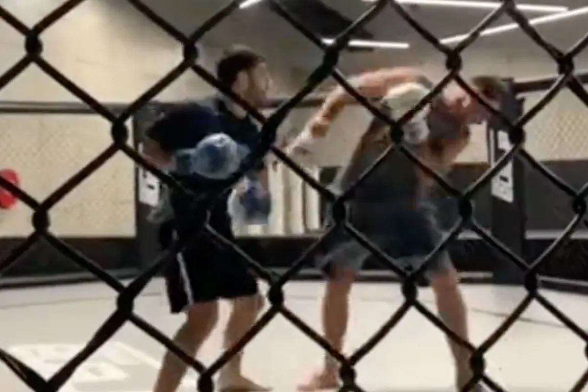 🎥 Straatlegende krijgt pak slaag van ervaren vechter! 'Pak aan hufter'