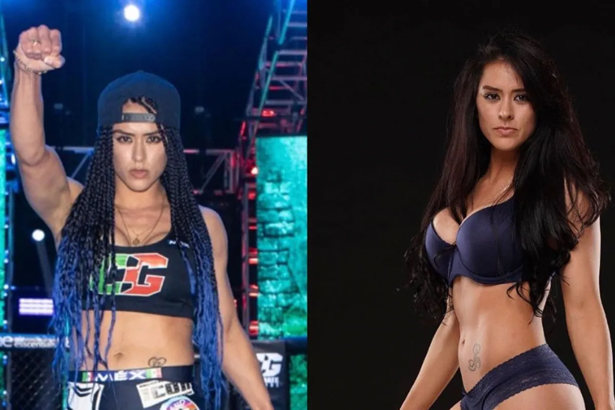 Vrouwelijke MMA-vechters geven zich bloot op OnlyFans! 'Dit zijn ze'