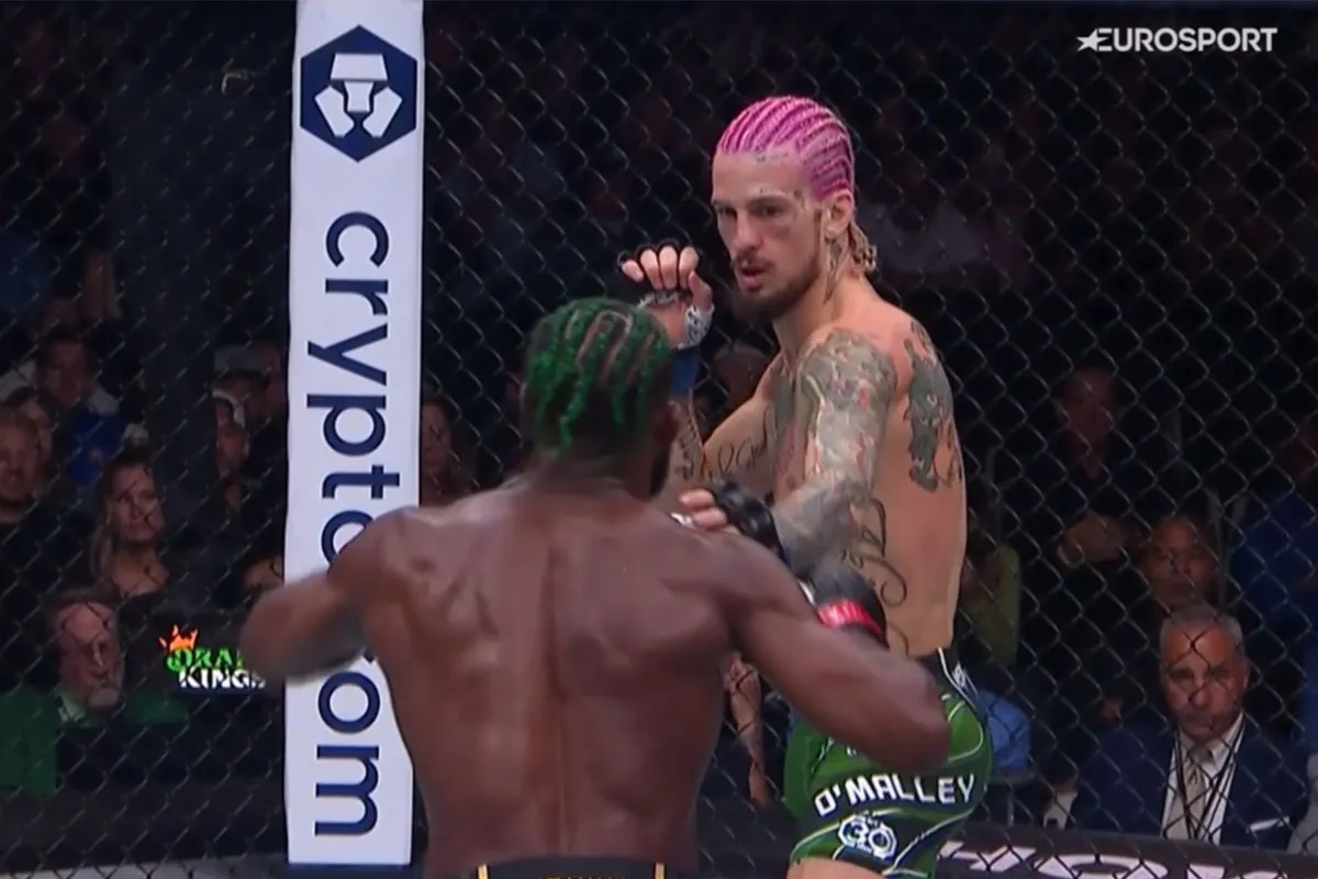 UFC 292 Nabeschouwing: Opwindende Gevechten en Onvergetelijke Momenten