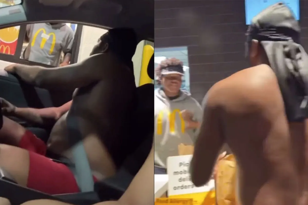 🎥 'Niet spugen in eten!' Bokskampioen dreigt McDonalds personeel kopje kleiner te slaan