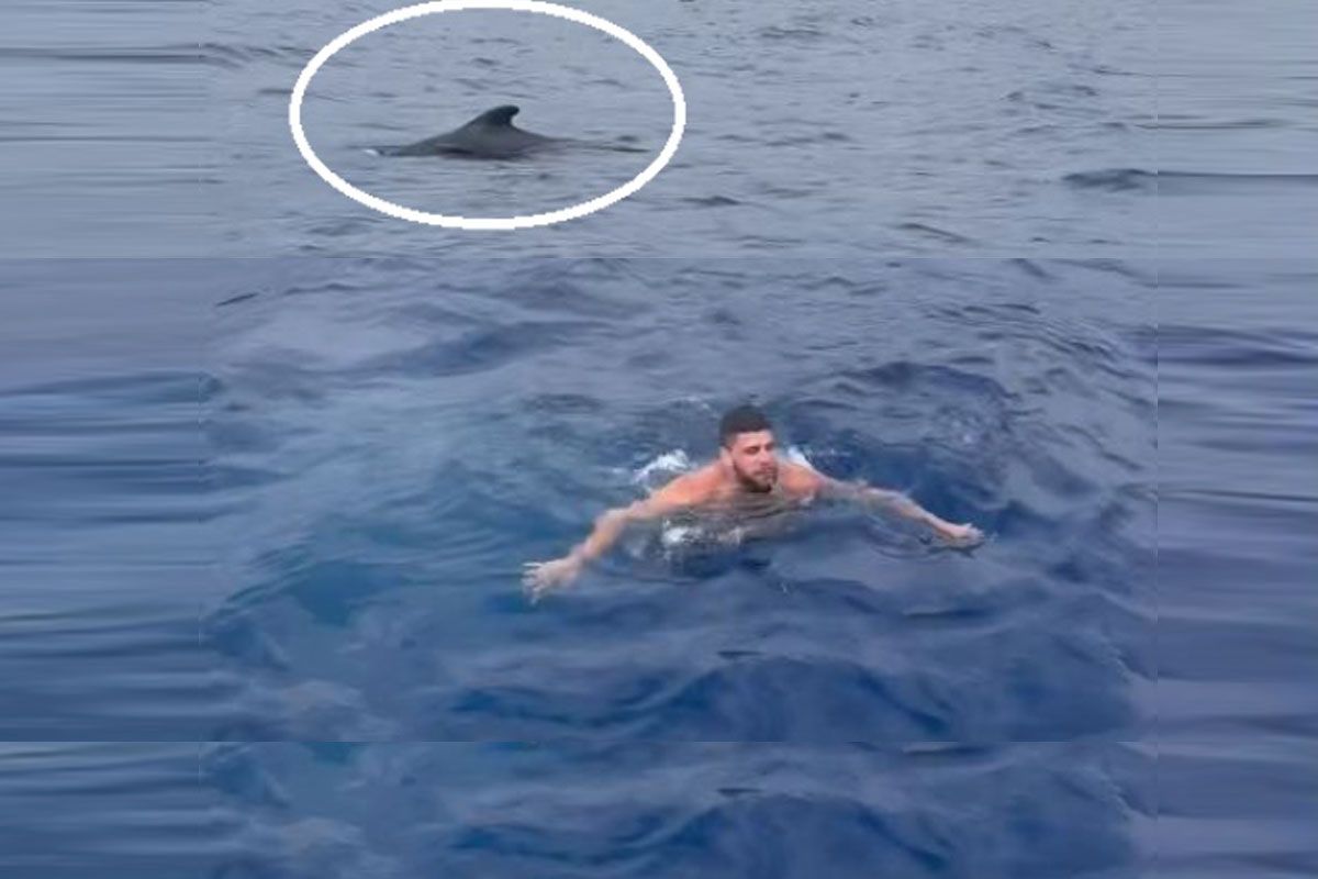 🎥 'Naar de haaien!' Bekende topvechter neemt duik in levensgevaarlijk water