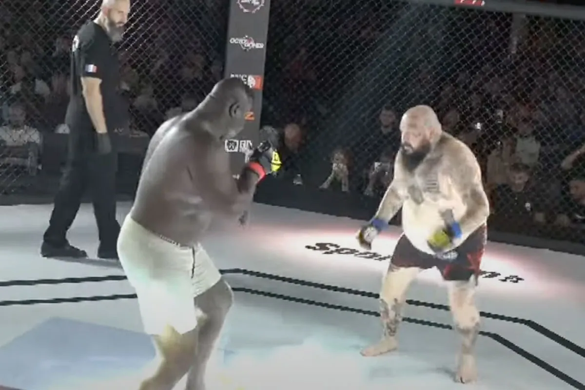 🎥 Sensatie! 150 kilo Vechtreus Bombardier slaat Poolse Rapper onderuit in turbo tempo