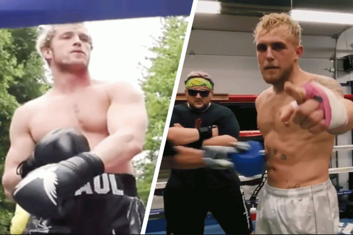 Jake Paul en Logan Paul beweren de beste boksers ter wereld te zijn: 'Hoe durven ze'
