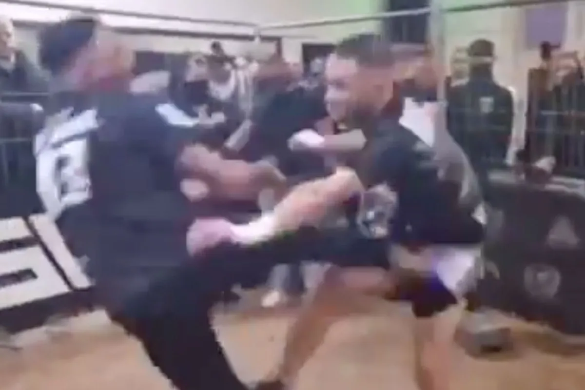 🎥 Straatvechter en oor af bijter 'Bash' knock-out door kopschop: 'Gek als een deur'