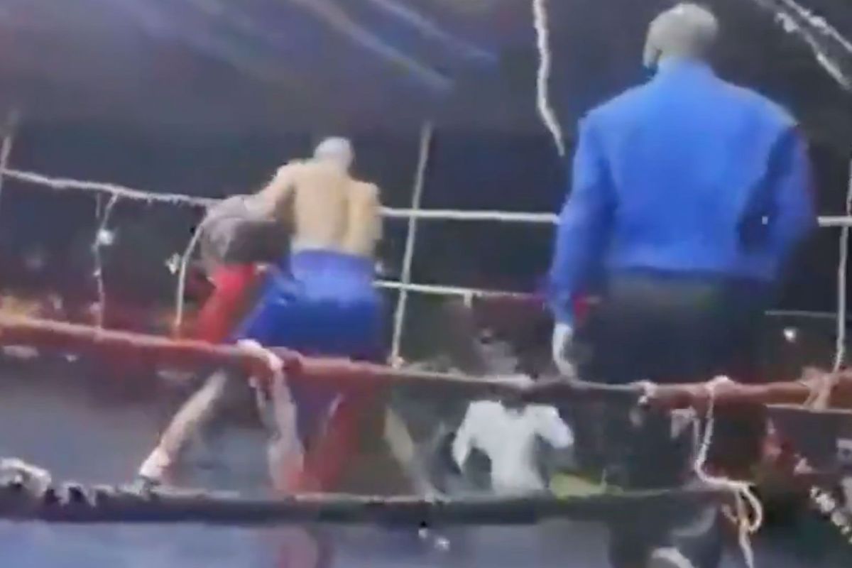 🎥 Chaos in de ring na aanval op bokser door team tegenstander