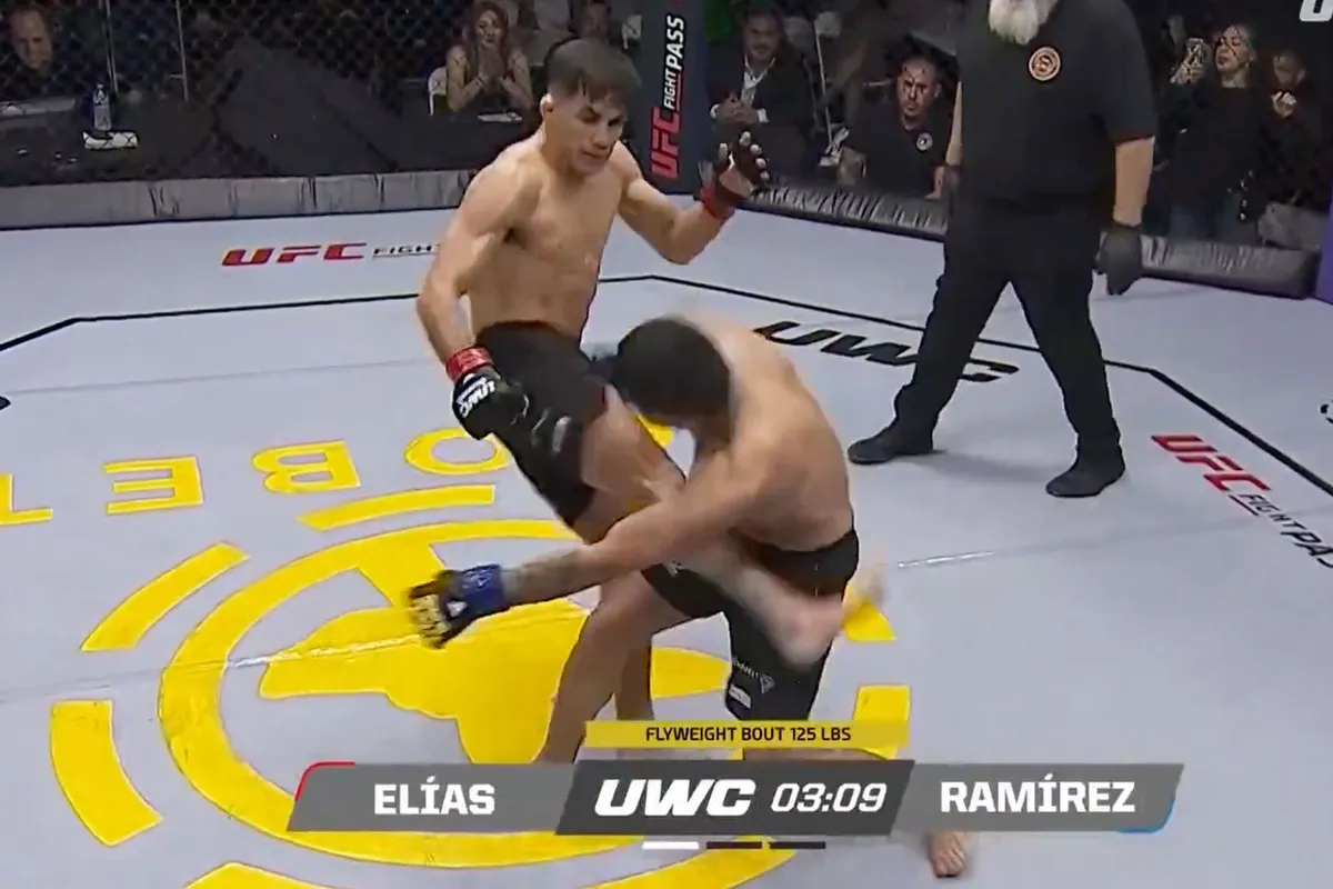 🎥 Vechter demonstreert dodelijke Body Kick in MMA-Wedstrijd