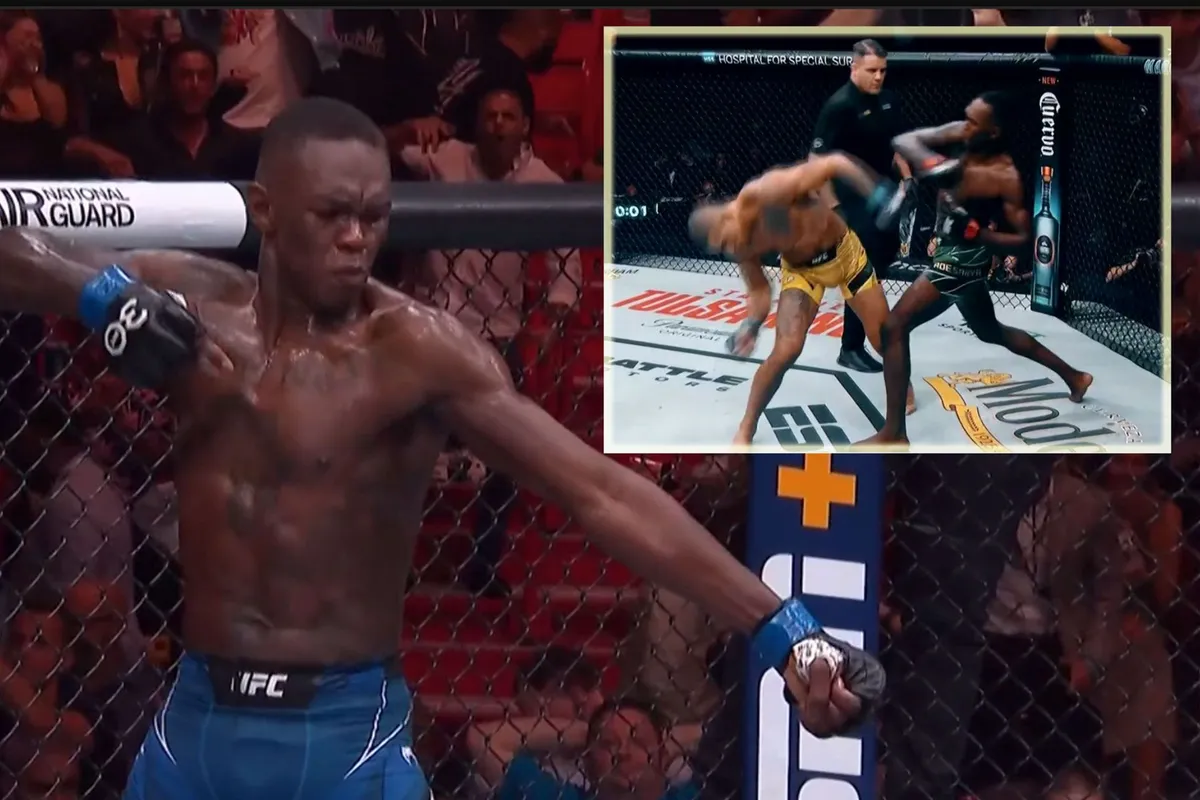 Wie is echt de beste? De Meest Intrigerende Rivaliteit in de UFC