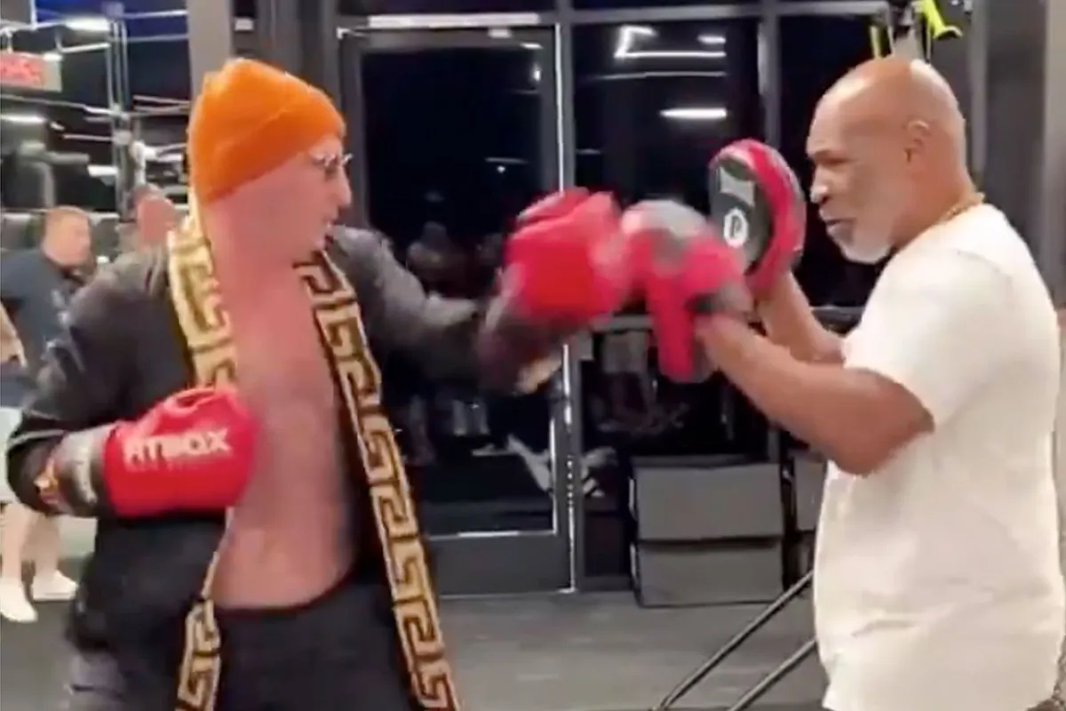 Woeste Mike Tyson haalt uit na klap fan! "maak hem af' (video)