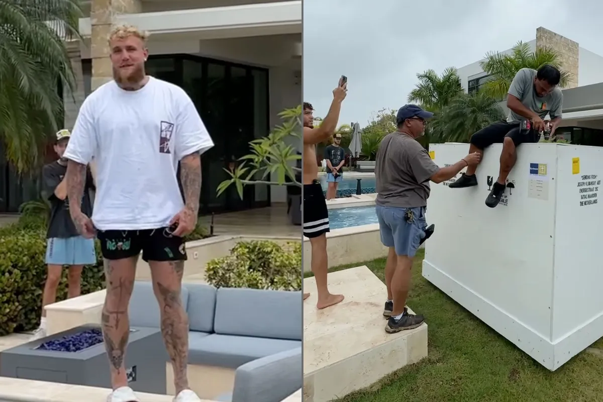 Jake Paul tikt 1.2 miljoen af voor 'zieke' sculptuur van Nederlandse kunstenaar