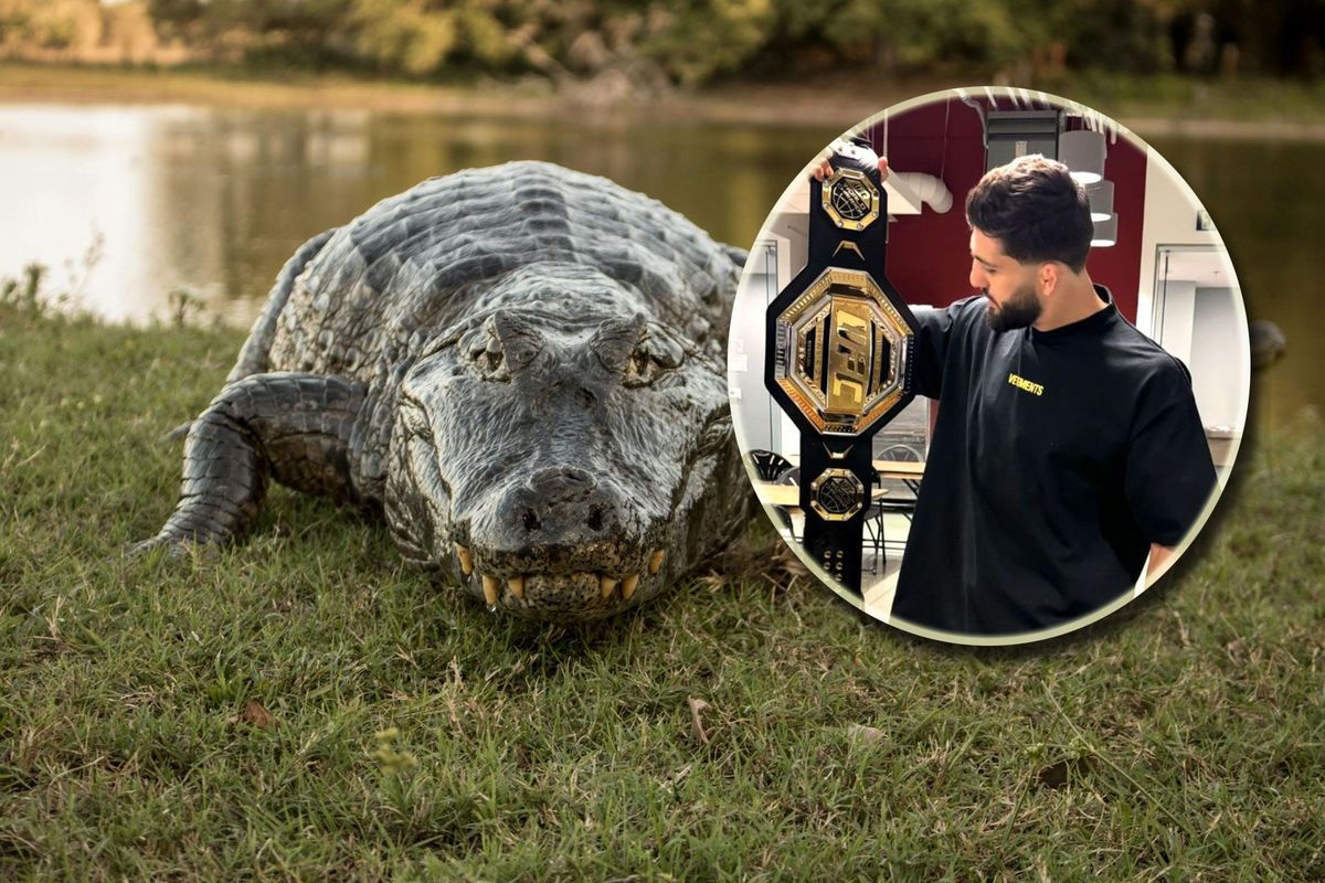 UFC Vechter vangt alligator met blote handen! 'Nieuwe laarzen'