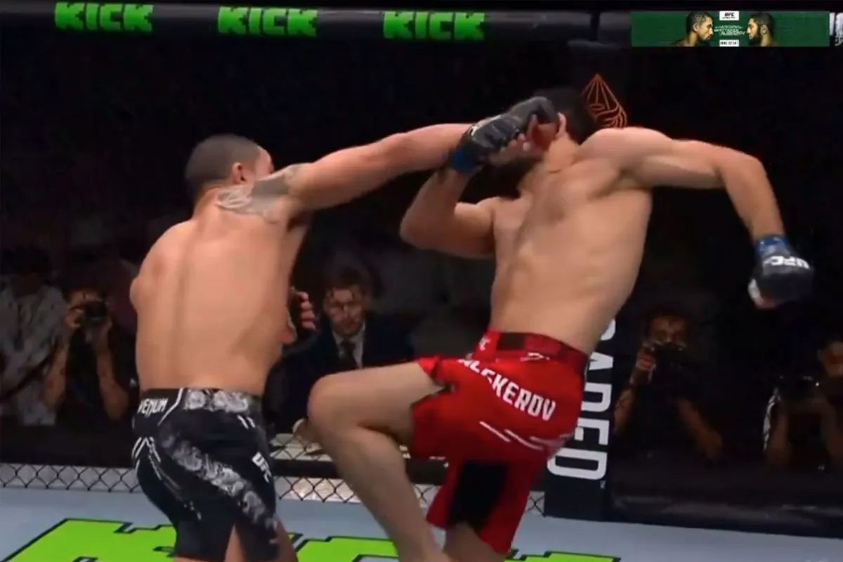 🎥 UFC vechtmachine Whittaker slaat Aliskerov onderuit: Spectaculaire knock-out