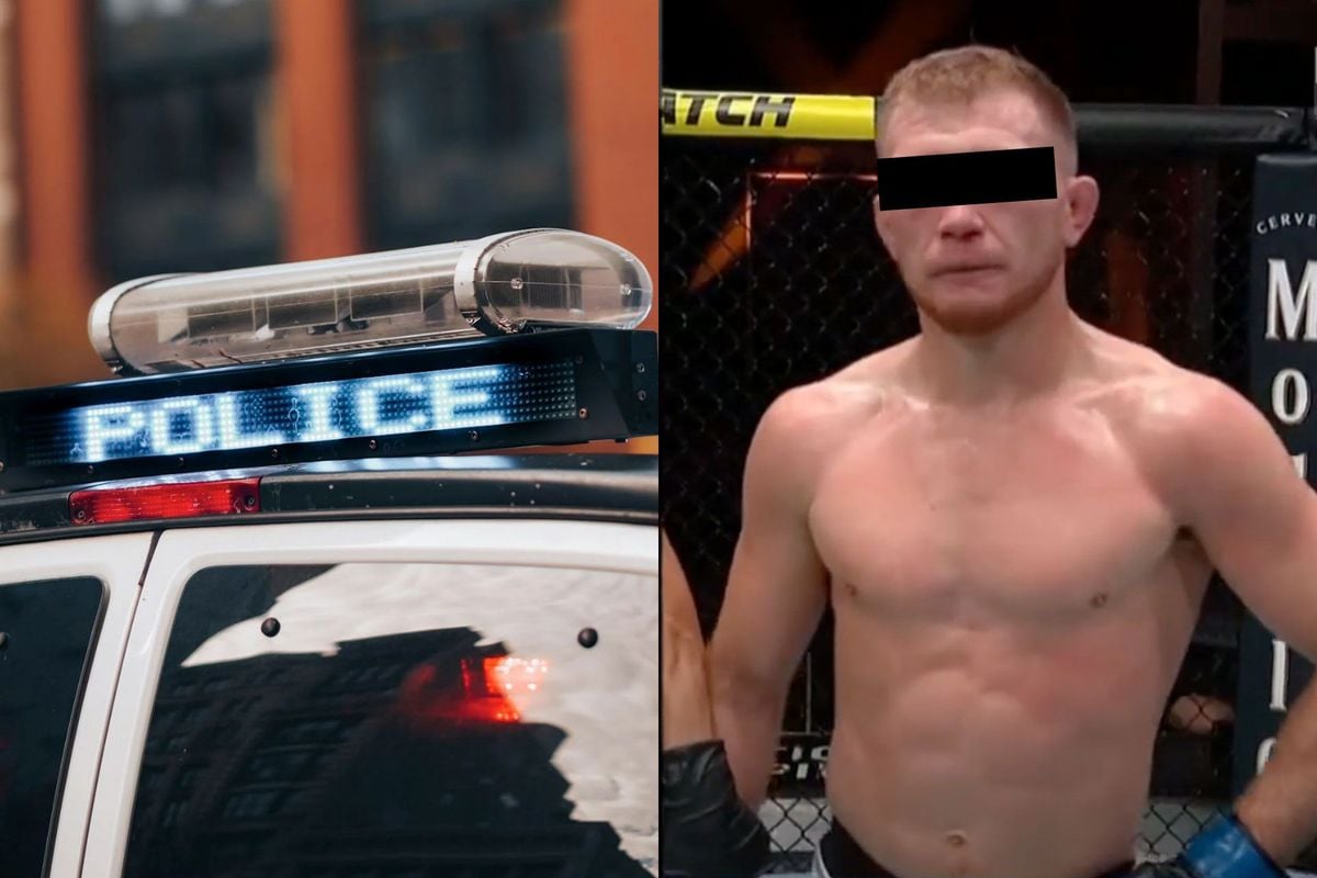 UFC trapt vechter genadeloos op straat na arrestatie door politie