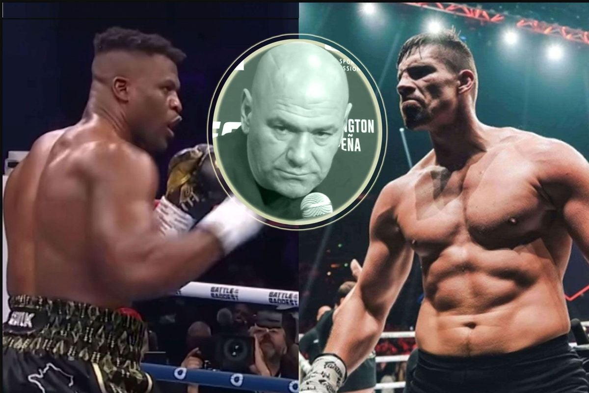 UFC baas kan Verhoeven vs Ngannou gevecht verpesten? 'reputatie schade'