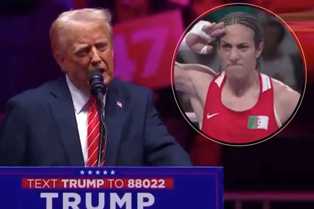 Trump weer aan de macht: Transgenders uitsluiten bij boksen en MMA?