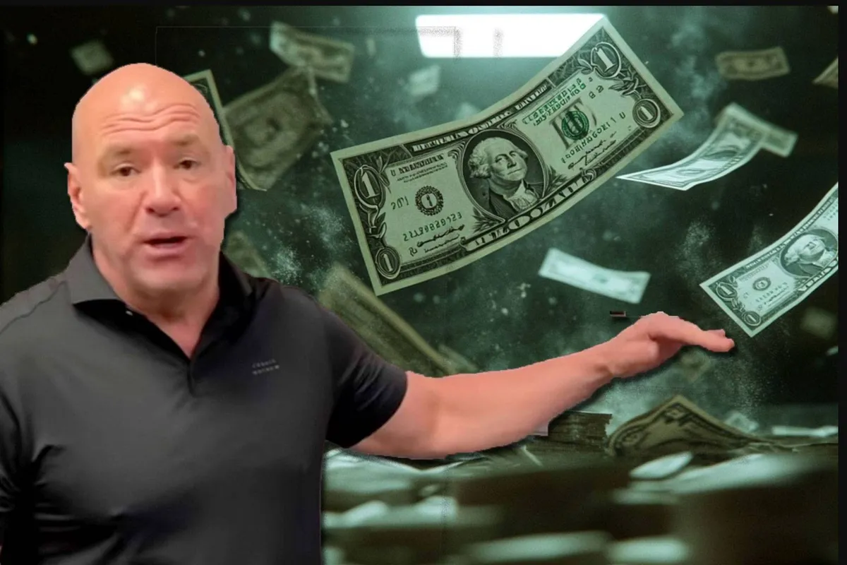 Zo weinig verdient een UFC vechter écht – schokkende cijfers!