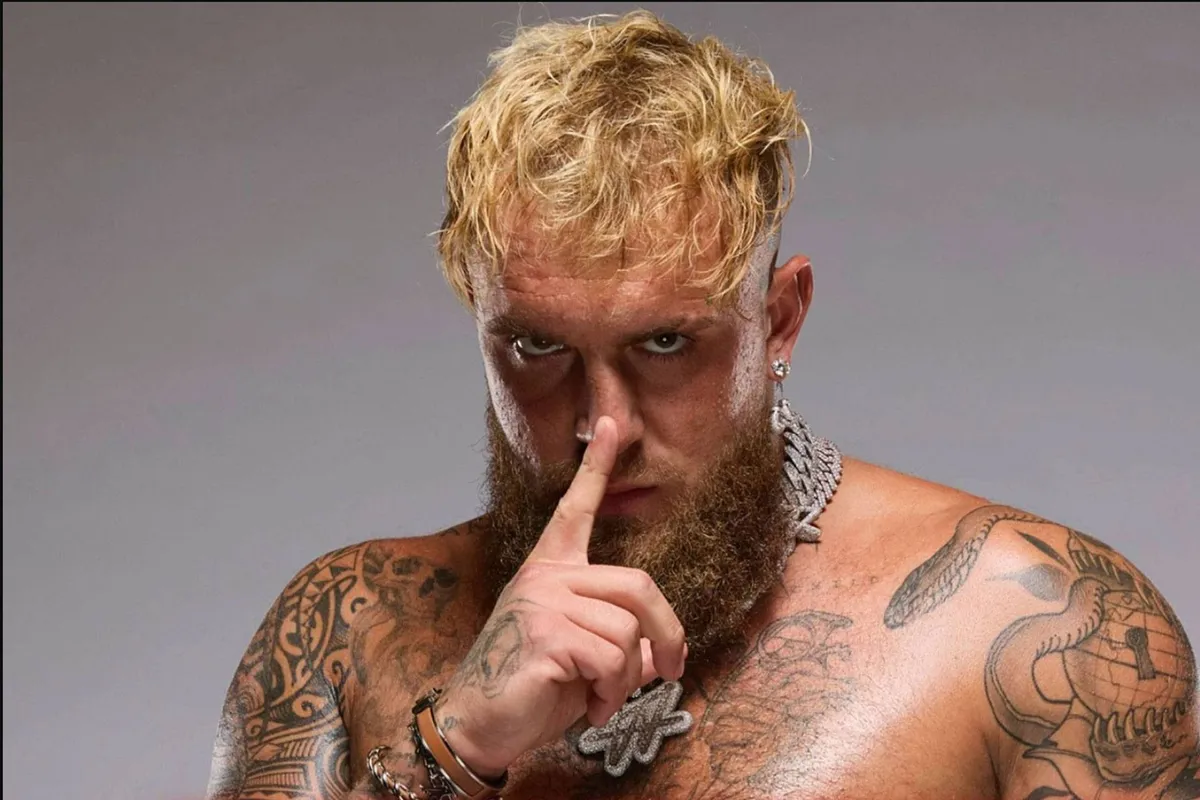 Jake Paul organiseert uniek boksevent - fans kunnen gratis meekijken