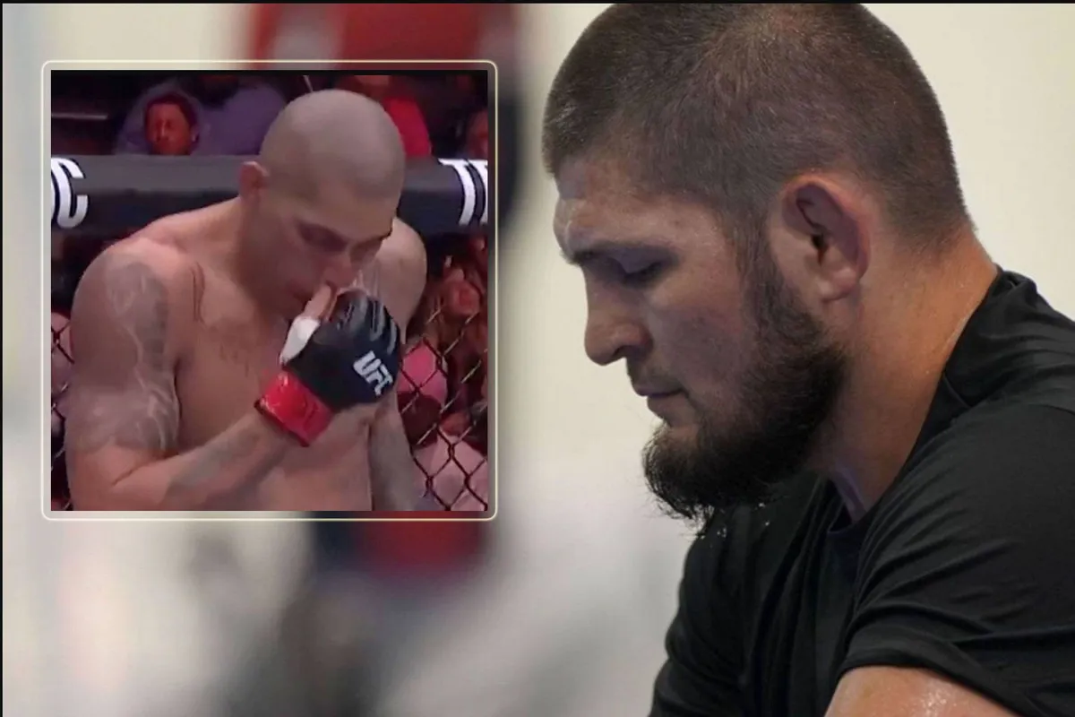 Fans woest! Khabib sloopt Alex Pereira compleet – maar is het echt of AI-bedrog?
