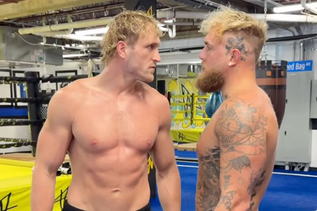 ‘Jake bijt flink af, maar hij kan het kauwen!’ Logan Paul steunt broers beslissing!