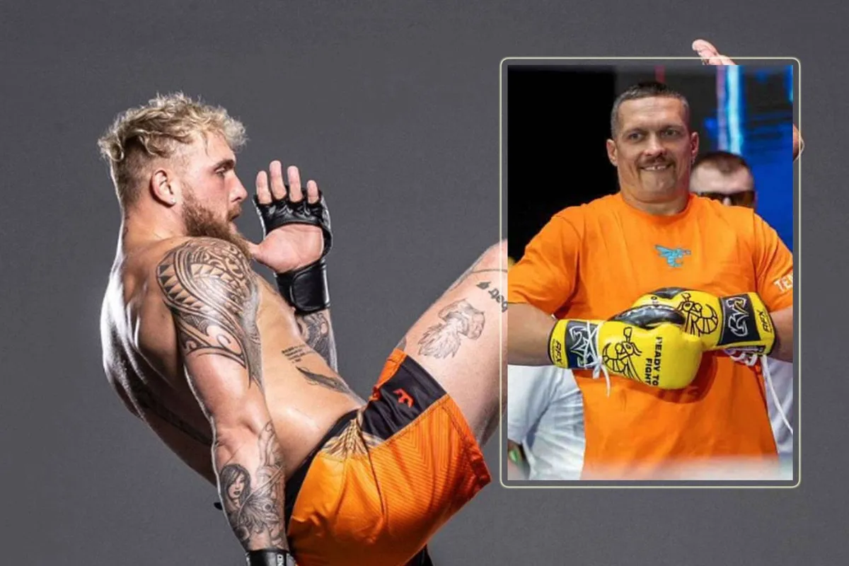 Jake Paul vs boksicoon Usyk 'MMA gevecht' gaat gebeuren – dit weten we al