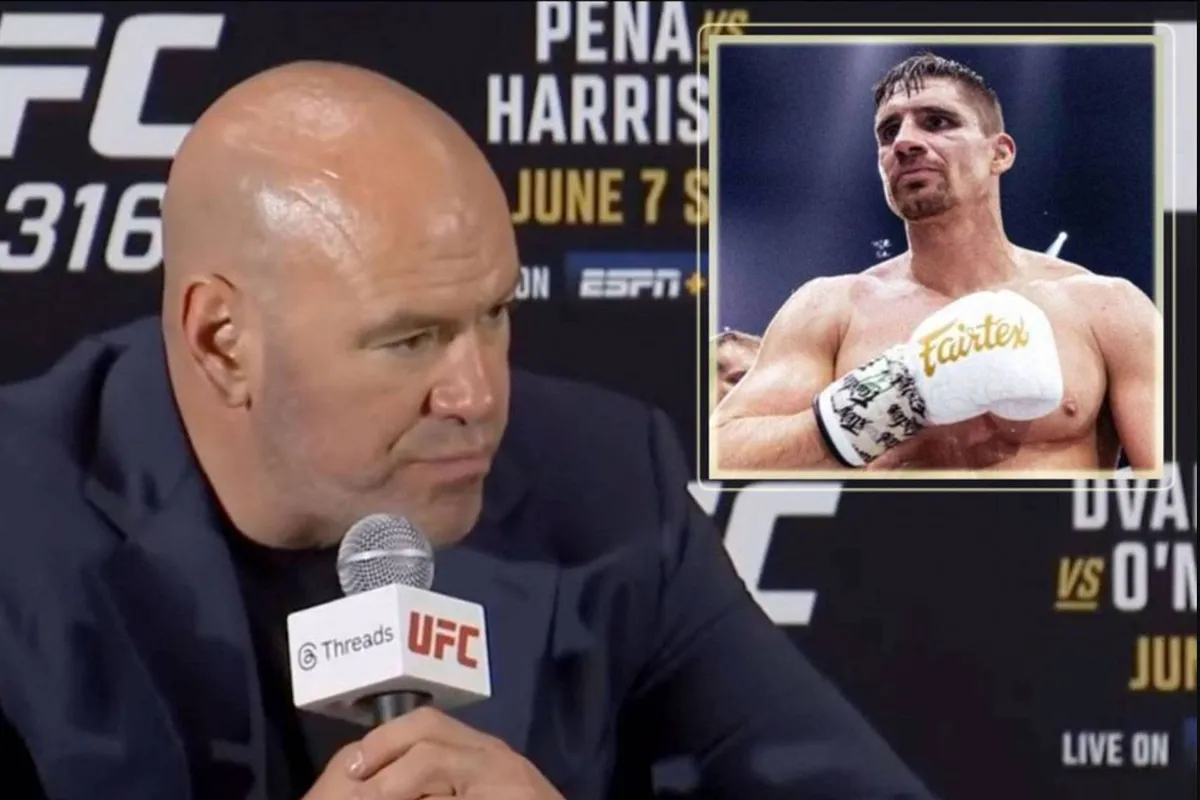 UFC vechtbaas White zegt nee tegen kickboksen - Glory baas reageert!