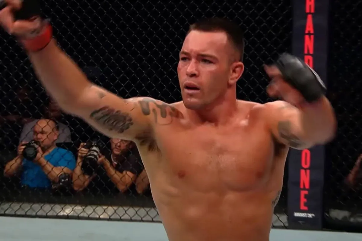 UFC's 'luis in de pels' Covington eist gevecht met Paddy the Baddy - frontaaltje!
