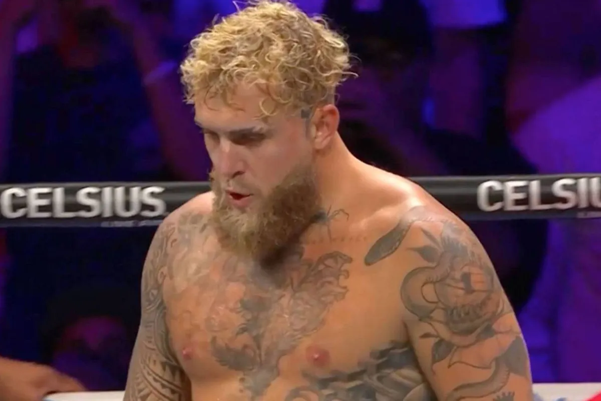 Wat?! Zo weinig kreeg Jake Paul gevecht met Chavez Jr