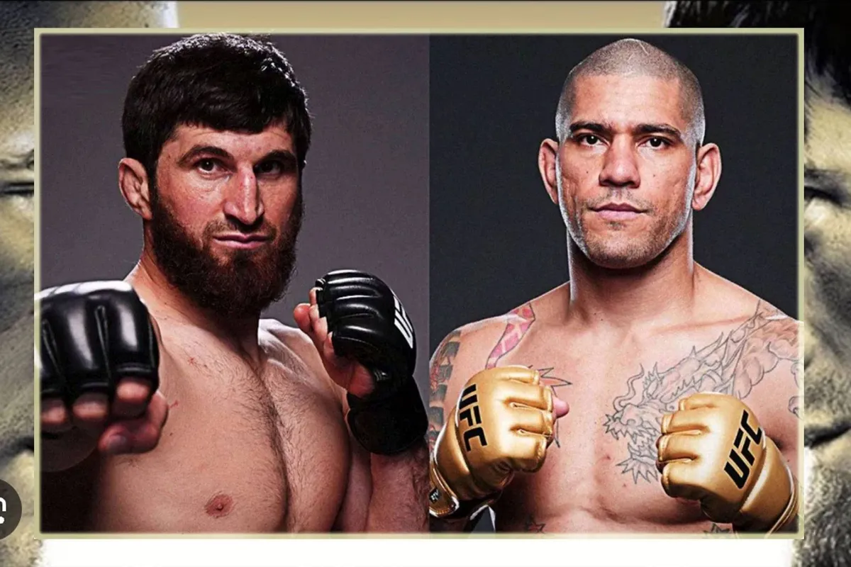 UFC! Rematch Pereira vs Ankalaev komt sneller dan gedacht - wat we weten